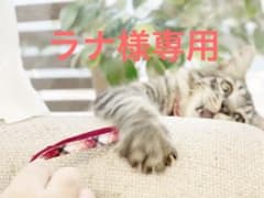 ラナ様専用 ショーツのみのサムネイル