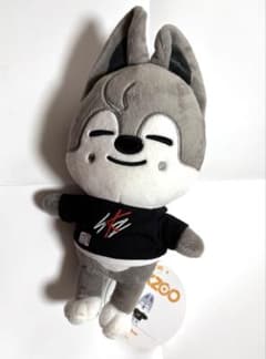 購入前にコメント下さい★SKZOO★ウルフチャン　バンチャン　まとめ売り WolfChan ブラックアウトフィット、バンチャンパーカーセット、20cm