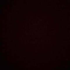 ラビキャント 専用のサムネイル
