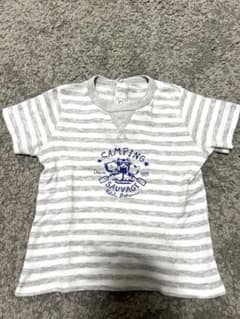 PETIT BATEAU 半袖Tシャツ ボーダー アニマルのサムネイル