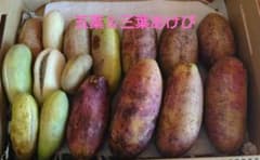 長野県産　五葉あけび＆三葉あけびのサムネイル