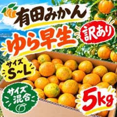 有田みかん ゆら早生 極早生みかん　訳あり サイズ混合 5kg 農家直送のサムネイル
