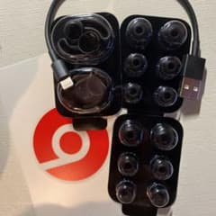 Beats by Dr Dre BEATSX イヤーピースのサムネイル