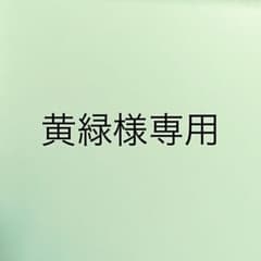 黄緑様専用ページのサムネイル