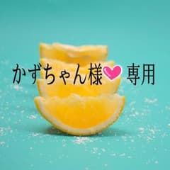かずちゃん様☆専用ですのサムネイル
