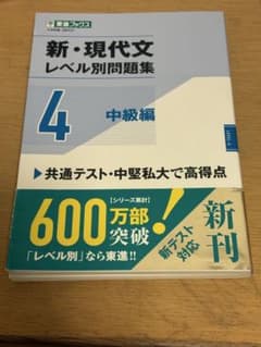 新・現代文レベル別問題集④ 中級編のサムネイル