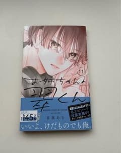 お姉ちゃんの翠くん 11巻のサムネイル