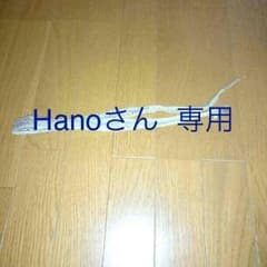 蛇の抜け殻です。のサムネイル
