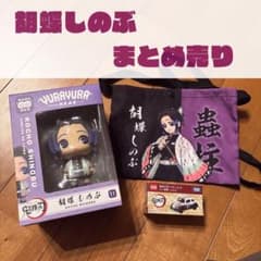 コチョウシノブ 3点まとめ売り