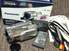 Panasonic NV-GS250 Camcorder
