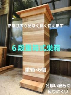 熟練大工作製、柾目板使用で重箱の節抜けの心配なし、日本蜜蜂6段重箱