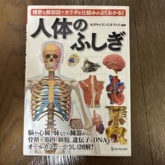 人体のふしぎのサムネイル