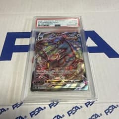 PSA10 ブラッキー VMAX 048/069 ポケモンカード 最安値‼️ - メルカリ