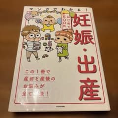 マンガでわかる! 妊娠・出産はじめてBOOKのサムネイル