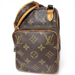 美品 LOUIS VUITTON ミニアマゾン a1110 - メルカリ