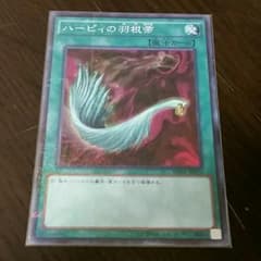 ハーピィーの羽根箒のサムネイル