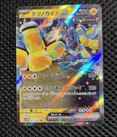 テツノカイナ　ex RRのサムネイル