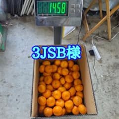 温州みかん 13kg【熊本県産】小玉のサムネイル