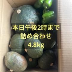 ⁠本日限定 茨城県産 野菜詰め合わせ　訳あり かぼちゃ・ミニかぼちゃ・ピーマンのサムネイル