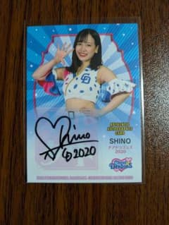 中日ドラゴンズ SHINO 2020 サインカード チアドラゴンズ BBM - メルカリ
