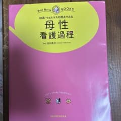 母性看護過程 Petit Nurse BOOKSのサムネイル