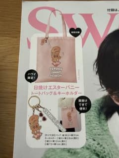 Sweet 11月号 付録 日焼けエスターバニートートバックアンド
