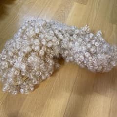 リーゼント　カツラ　ウィッグのサムネイル