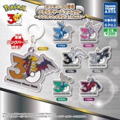 ポケモン 30周年 メタルチャーム コンプリートのサムネイル