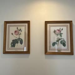 ルドゥーテ ローズ 絵額 複製画 『バラ図譜 』 ゴールドフレーム2