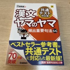 漢文ヤマのヤマ 頻出重要句法66のサムネイル
