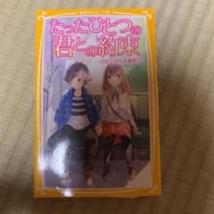 たったひとつの君との約束 ～引きさかれる運命?～のサムネイル