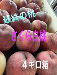 山梨県産　モモ(さくら白桃) B級品4キロ箱のサムネイル