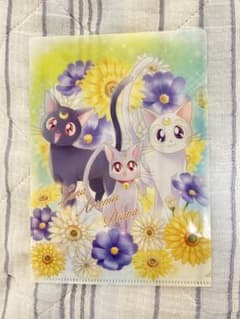 ファイルのサムネイル