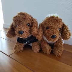 ウェルカムドール ダックスフンド ぬいぐるみのサムネイル