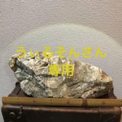 6点 北海道 美笛 千歳鉱山産 銀黒鉱石 閃亜鉛鉱 黄銅鉱 黄鉄鉱 6点 北海道 美笛 千歳鉱山産 銀黒鉱石 閃亜鉛鉱 黄銅鉱 黄鉄鉱