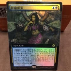 MTG日本語 foil 眼識の収集のサムネイル