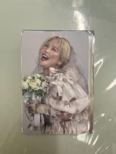 平成フラミンゴ 助け展 入場トレカ - メルカリ