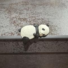 ふちやすみパンダ あおむけのサムネイル