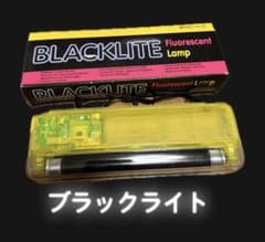 【たけしさん専用】BLACKLITE ブラックライト 未使用 動作確認済 箱付きのサムネイル