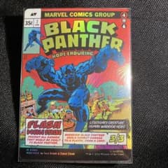 티 차라 왕 MTG King T'Challa Black Panther