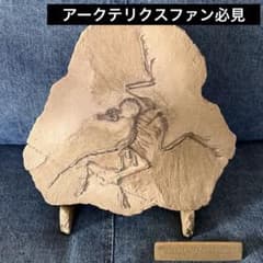 稀少⭐︎ アーケオプテリクス 化石レプリカ アークテリクス好きの方必見⭐︎ m47358448947_1.jpg?1778766008