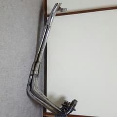 ゼファーマフラーコブラのサムネイル