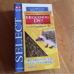 ハリネズミ フードのサムネイル