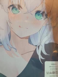 正規品　fbkちゃん　抱き枕カバー 部屋着ver 白上フブキ うえっち m12538024983_1.jpg?1755652200