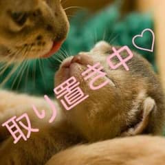 ☆モチスケ様専用☆のサムネイル