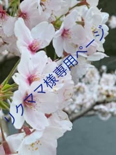 リクママ様専用ページのサムネイル