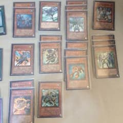 遊戯王 剣闘獣デッキ スリーブ付きのサムネイル