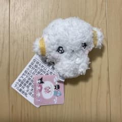 ゆるかわ　サンリオキャラクターズ　きゅるぽて　マスコットvol.2 こぎゅみん