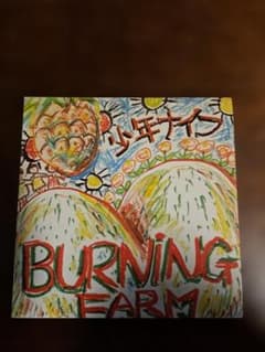 少年ナイフ BURNING FARM 20cmレコード オリジナル初回盤のサムネイル