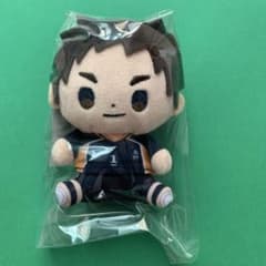 ハイキュー 澤村大地 もっちびぬいぐるみ - メルカリ